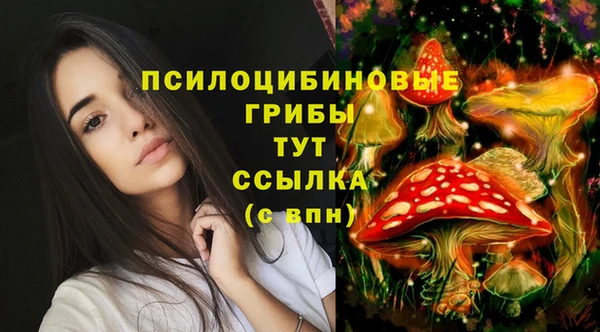 дживик Михайловск