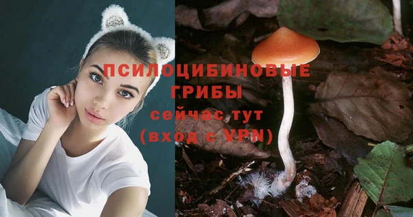 стаф Михайловка
