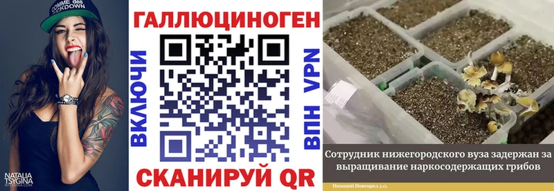 Псилоцибиновые грибы мицелий  Приволжск 